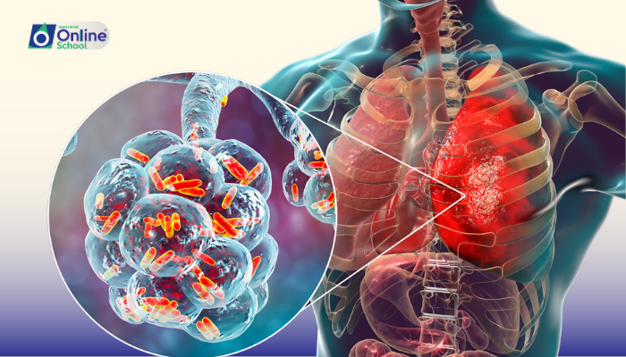 Lesson 06: Lung Function in Gas Regulation